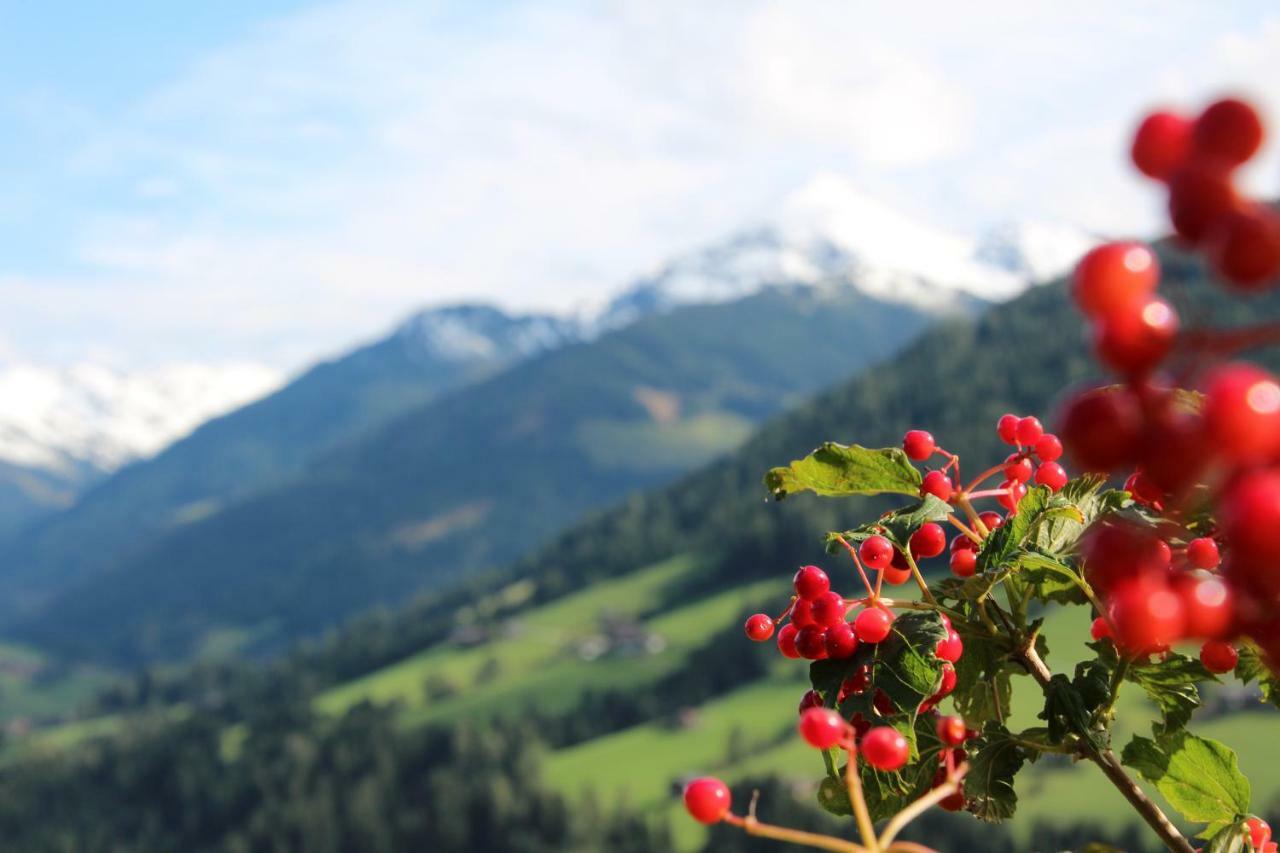 Apartmán Moahof Alpbach Exteriér fotografie