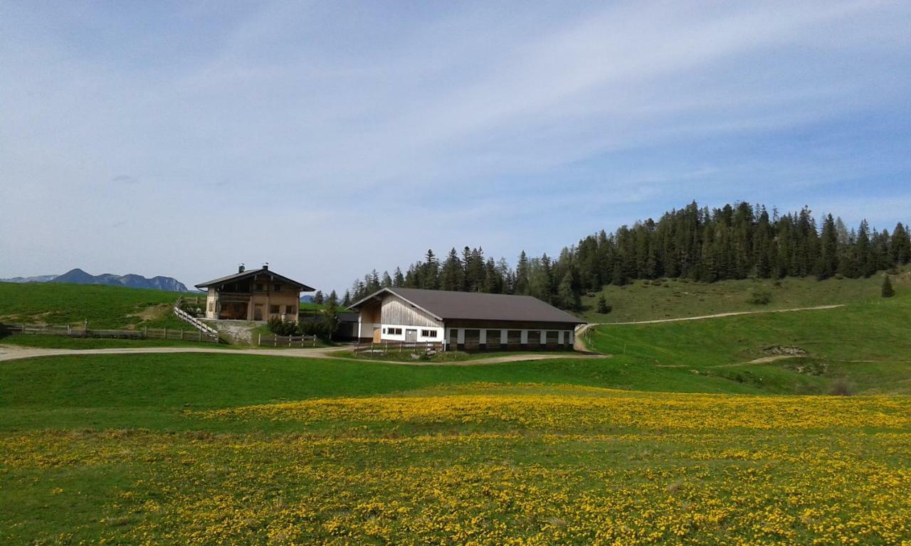 Apartmán Moahof Alpbach Exteriér fotografie
