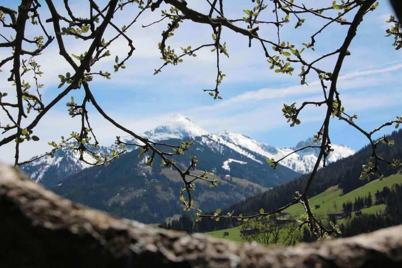 Apartmán Moahof Alpbach Exteriér fotografie